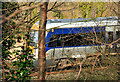 J3876 : Train and trees, Tillysburn, Belfast by Albert Bridge