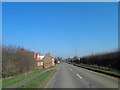 Thealby Lane farm is on the left