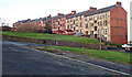 Rear of Tenements on Belville Street