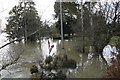 SU6089 : Flooded gardens by Bill Nicholls