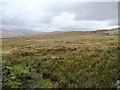 SD7788 : Rough grassland alongside Blea Grin Gill by Christine Johnstone