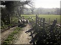 Footpath to Ottery