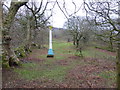 Sculpture near Plas Brondanw