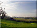 View across farmland from Killinghurst Lane