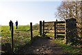 East Devon : The James Cornish Field