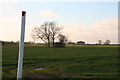 Long Gate Road: pipeline marker and trees