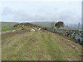 Rebuilt drystone walls on Tal-y-garreg