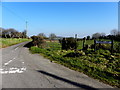 H7274 : Cashel Lane, Bardahessiagh by Kenneth  Allen