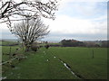 Footpath towards Eavestone from Brim House Farm