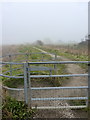 Gate and footpath at Oare