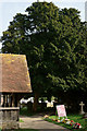 SU7200 : Ancient Yew Tree at St.Mary's, South Hayling by Peter Trimming