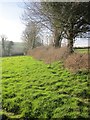 Field path, Lamerton