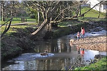 SY1288 : Sidmouth : The Byes & The River Sid by Lewis Clarke