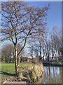 Sankey Canal, Stanley Bank