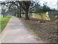 The edge of Bushy Park