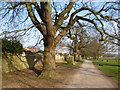 The boundary of Bushy Park