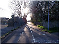 Footpath towards Manorway Green