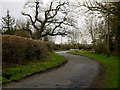SO9251 : Road to Aston Hall and Aston Hall Farm by Jonathan Billinger