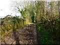 Looking east on footpath to Sages Lane