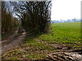 Junction of footpath and farm track by unnamed wood