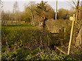 Footpath north at North Piddle