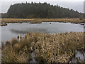 Lochan at Meikle Mosside