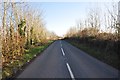 West Somerset : Country Road