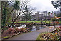 Pond in the park