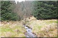 NT2743 : Soonhope Burn in Glentress Forest by Jim Barton