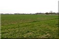 Arable field near Hinton Waldrist