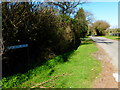 Looking north on Goatacre Road