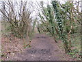 Llwybr Tregwyr / Gowerton Path