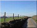 Road towards Stump Hall Farm