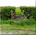 Across a small wooden footbridge near Bilsham Farm