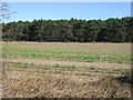 Farmland and woodland