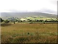 Glenravel farmland