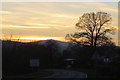 A silhouetted tree at Llong at sunset