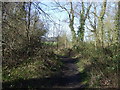 Path through Dyscarr Wood