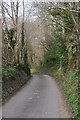 West Somerset : Country Road