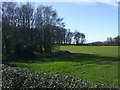 Farmland near Sand Hill Plantation