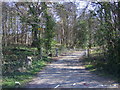 Track to Peaks Hill Farm