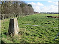 SK9435 : Meadow near Heath Farm with Triangulation Pillar by Peter Wood