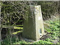 Hedgerow Triangulation Pillar at Orston