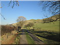 Lane to Moorside Farm