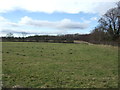 Farmland near Milnthorpe Lodge