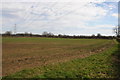 Electricity pylons crossing farmland