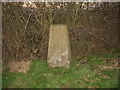 Lound Wood Triangulation Pillar