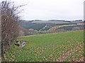 Grazing land at Windwhistle Farm