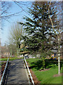 Public park within Wolverhampton Ring Road