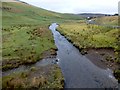 Roberton Burn